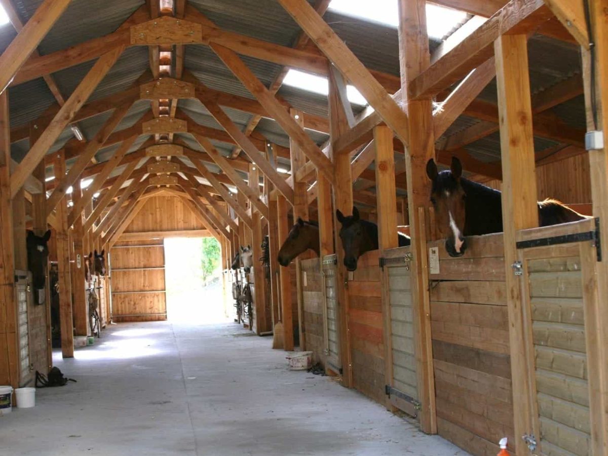 domaine-equestre-et-gites-a-vendre-a-evaux-les-bains-dans-la-creuse-11