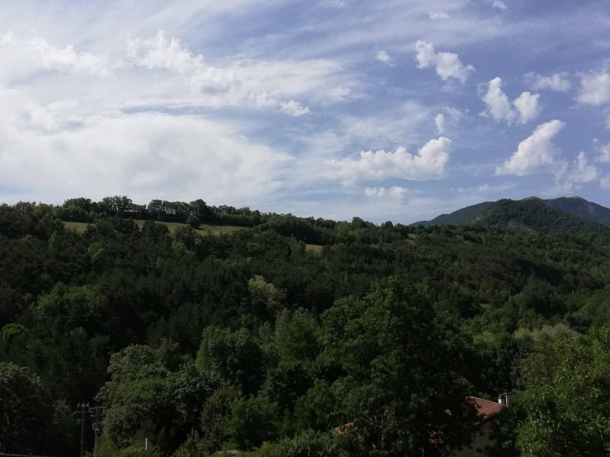 Gite-Gigors-Loasis-20