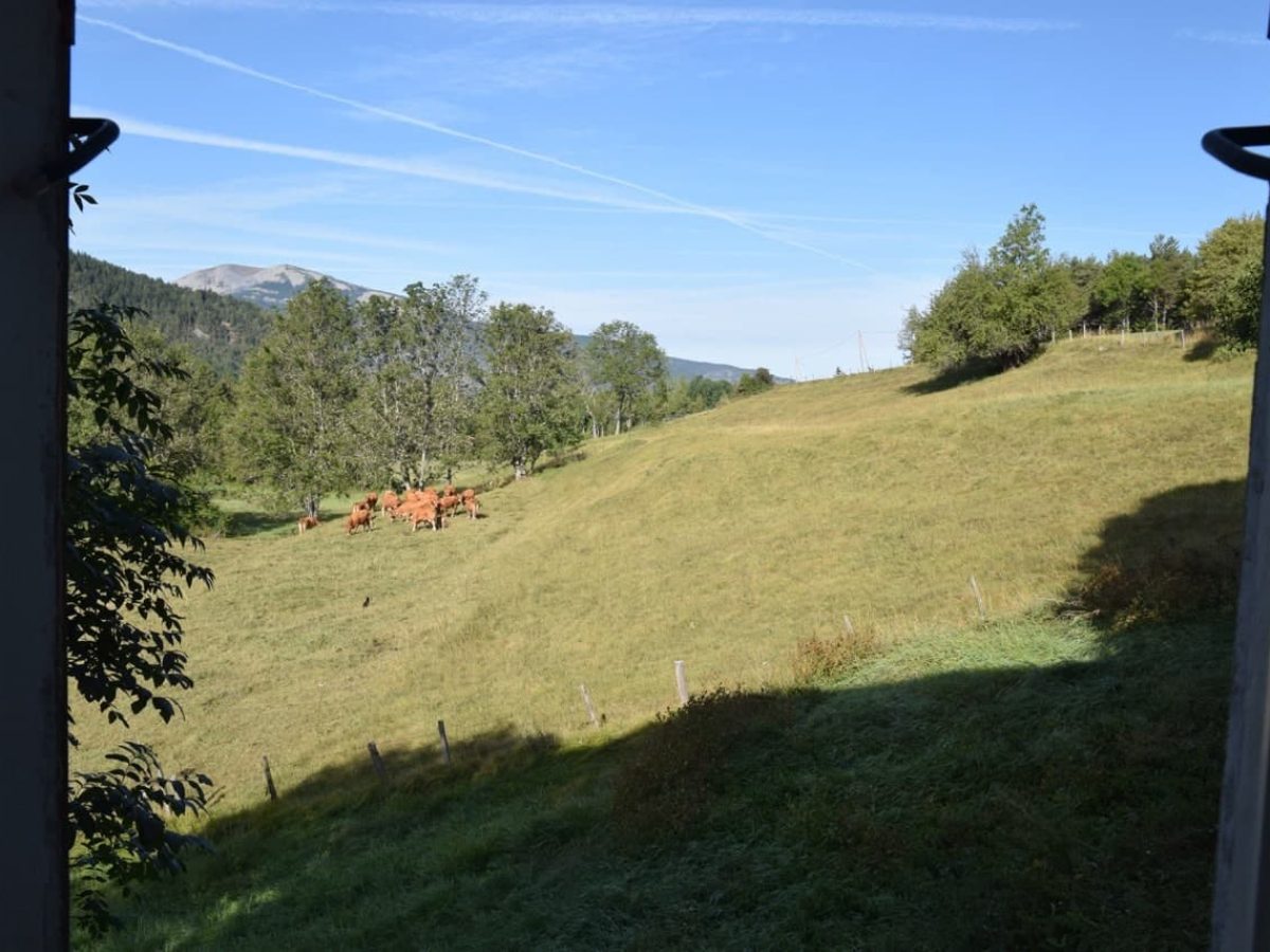 À vendre – Ferme de montagne de 250 m² à Seyne-les-Alpes – Alpes-de-Haute-Provence (04)
