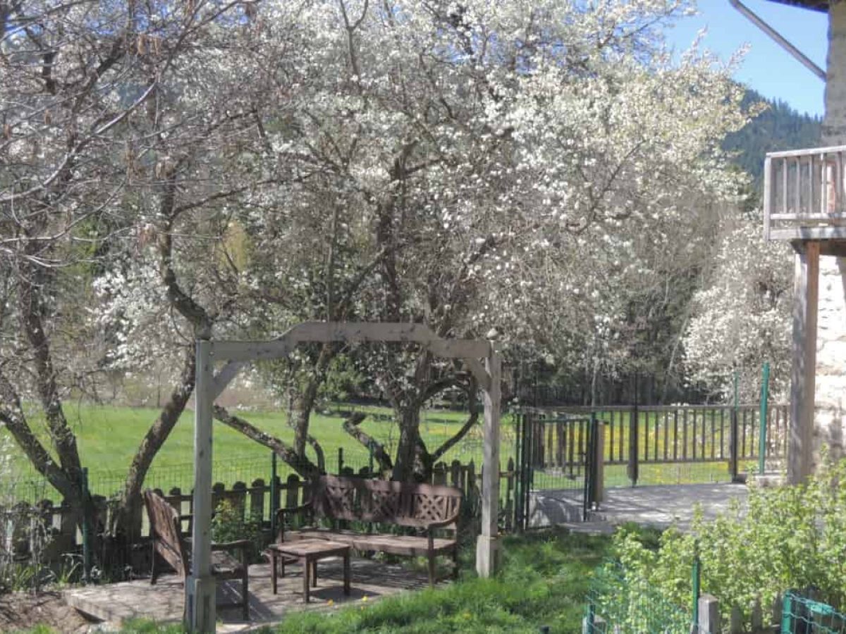 À vendre – Ferme de montagne de 250 m² à Seyne-les-Alpes – Alpes-de-Haute-Provence (04)