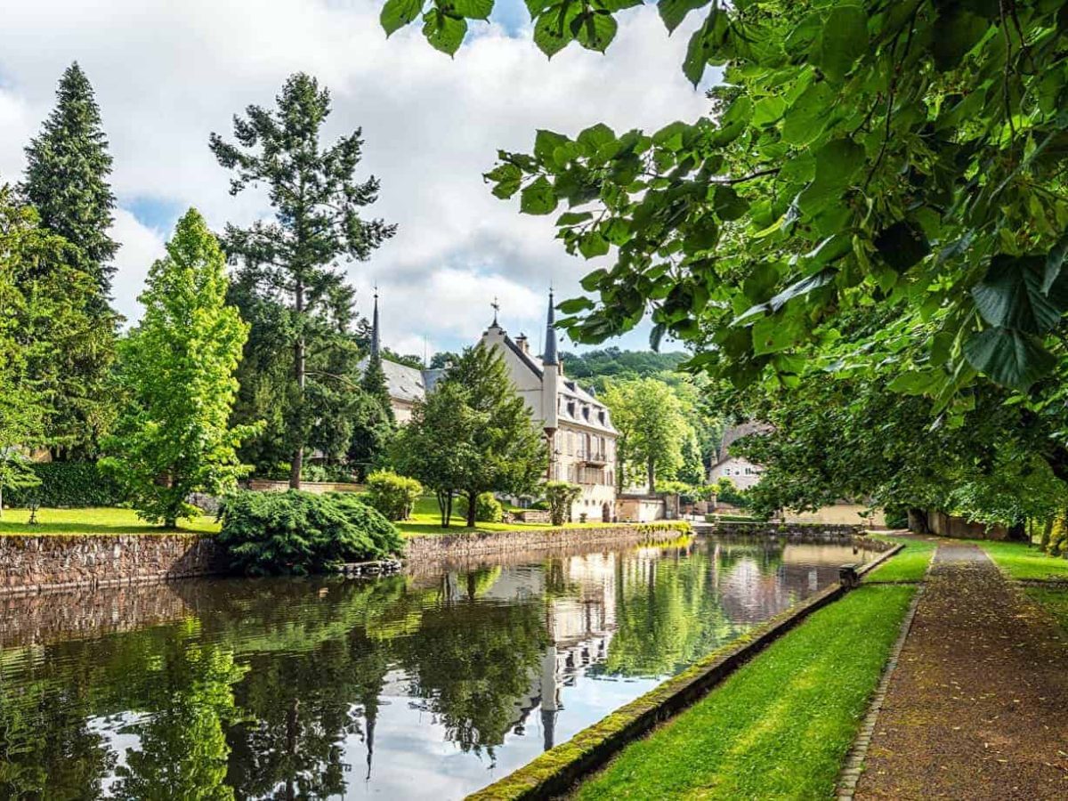 À vendre – Château du XVIIIe siècle de 25 chambres à Klingenthal – Bas-Rhin (67)