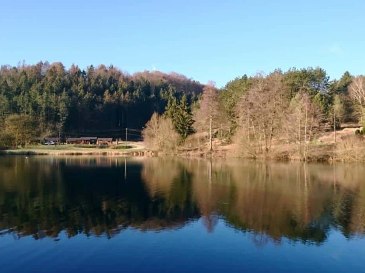 À louer – Terrain de 20 hectares pour la création d’un éco-domaine à Sommedieue – Meuse (55)