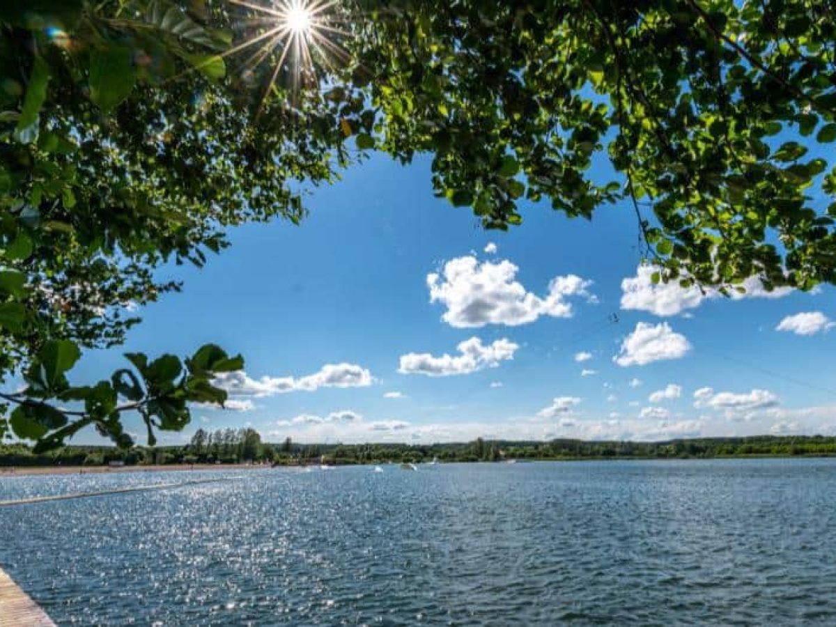 À vendre – Deux Parcelles de 5 000 m² à développer à Thaon-les-Vosges – Vosges (88)