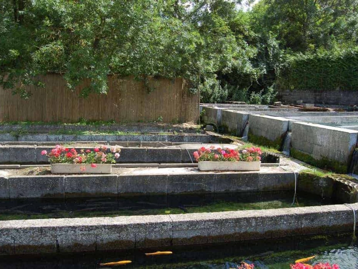 À vendre – Restaurant-Bar de 100 couverts à Saint-Christ-Briost – Somme (80)