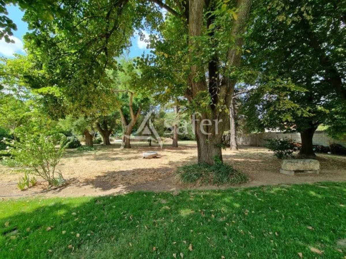 À vendre – Domaine viticole avec gîte et maison de maître à Bédarieux – Hérault (34)