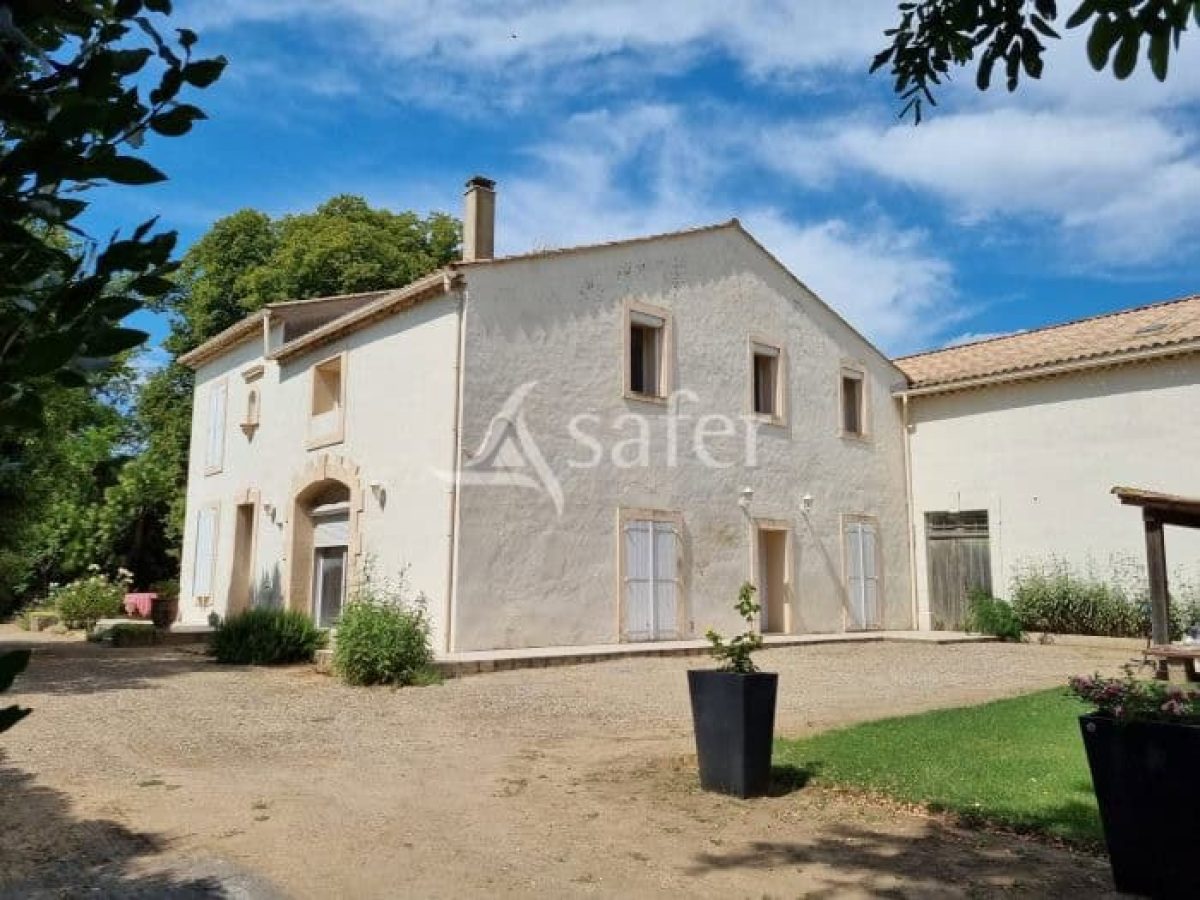 À vendre – Domaine viticole avec gîte et maison de maître à Bédarieux – Hérault (34)