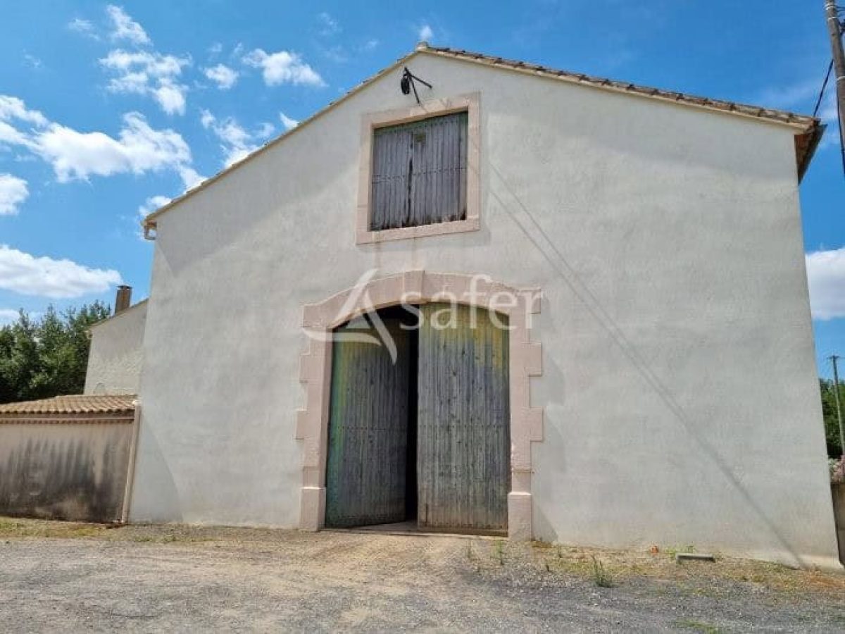 À vendre – Domaine viticole avec gîte et maison de maître à Bédarieux – Hérault (34)