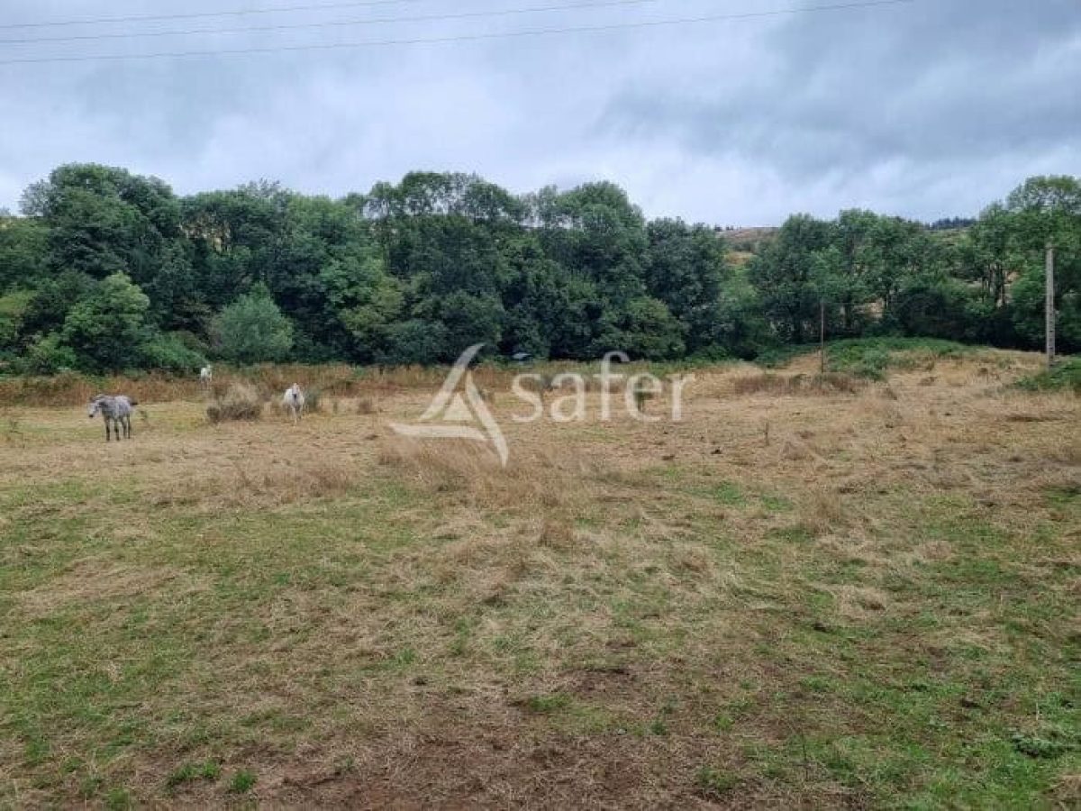 À vendre – Corps de ferme avec gîte rénové à Castanet-le-Haut – Hérault (34)