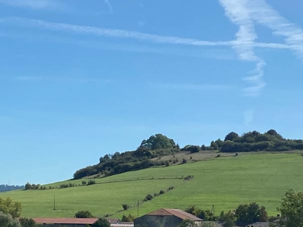 À vendre - Ancien corps de ferme du XVIIIe siècle de 4 500 m² à reconvertir en hébergement touristique à Vittel - Vosges (88)