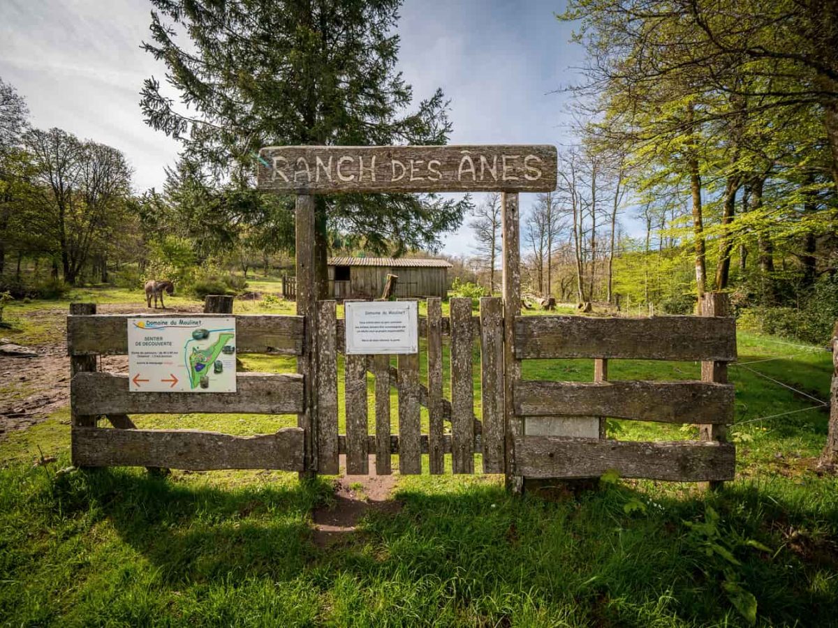 À vendre – Domaine 3 étoiles avec 6 gîtes à Le Soulié - Hérault (34)