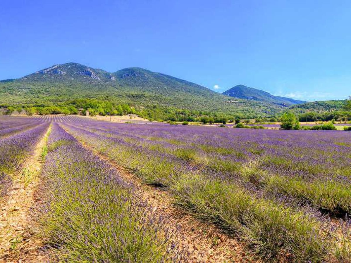 À vendre – Château du XVIIᵉ siècle de 22 pièces à Rustrel – Vaucluse (84)