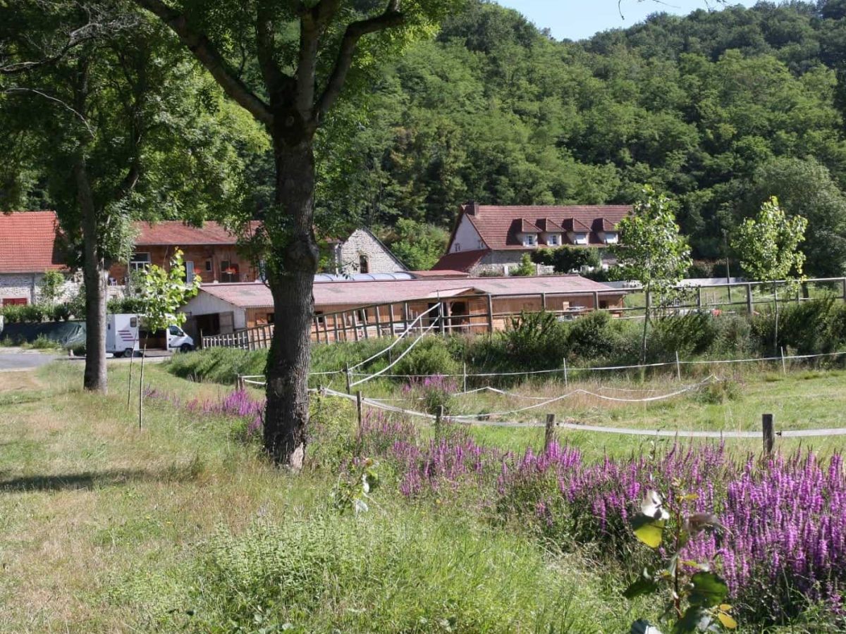 domaine-equestre-et-gites-a-vendre-a-evaux-les-bains-dans-la-creuse-5