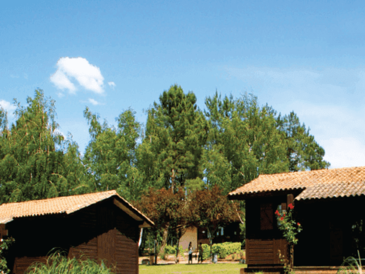 chalets-et-terrains-a-vendre-en-zone-boisee-et-champetre-a-lagorce-gironde-1