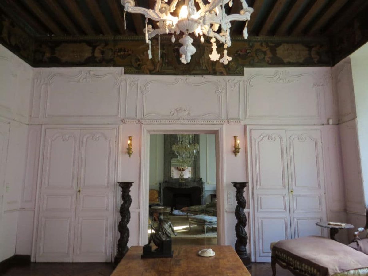 chateau-xvdeg-xviiideg-a-vendre-dans-lallier-7