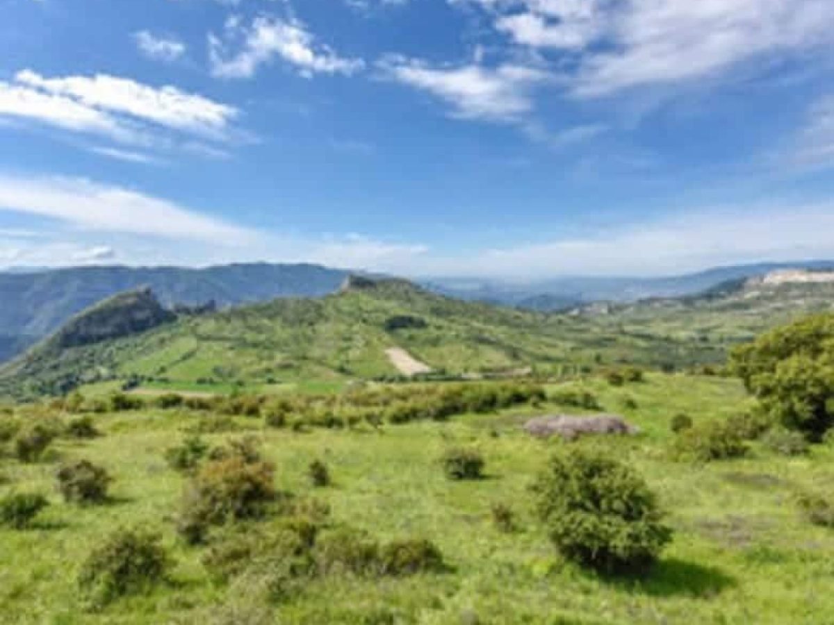 gites-ou-chambres-dhotes-a-vendre-proche-sisteron-dans-les-alpes-de-haute-provence-16-chambres-7