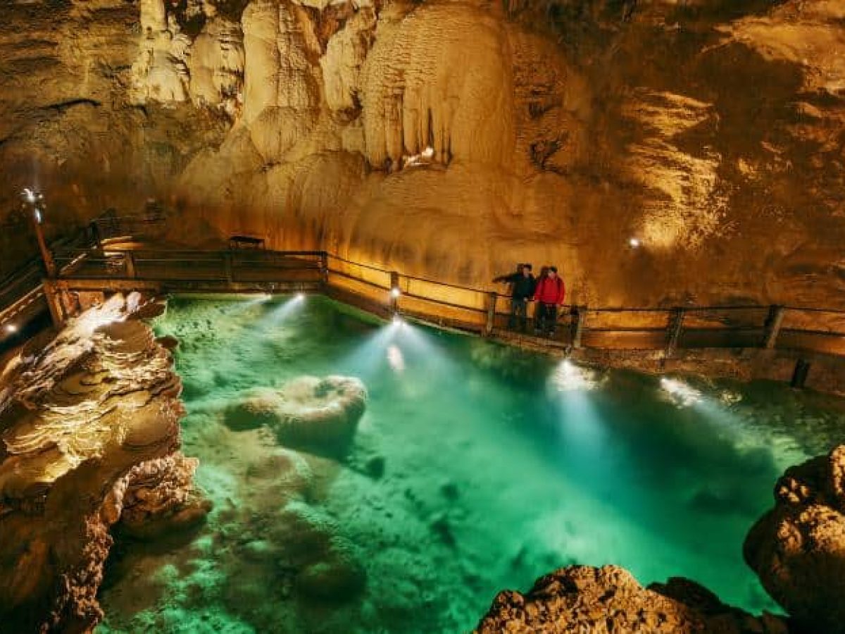 Village Vacances de 40 bungalows et 25 pavillons sur une île au cœur de la nature