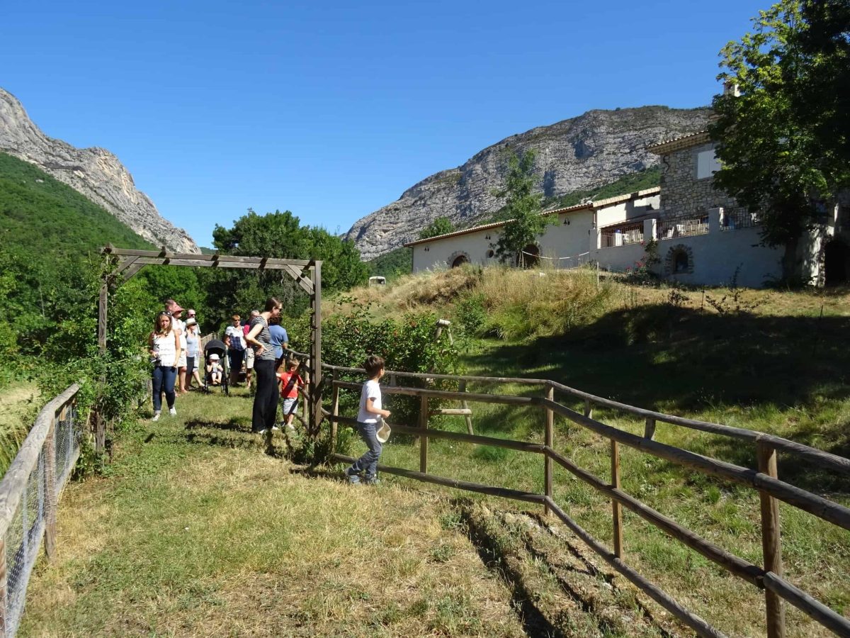 propriete-a-vendre-a-entrepierres-dans-les-alpes-de-haute-provence-15