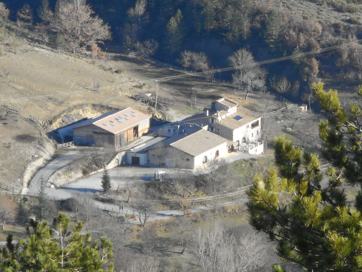 propriete-a-vendre-a-entrepierres-dans-les-alpes-de-haute-provence-3