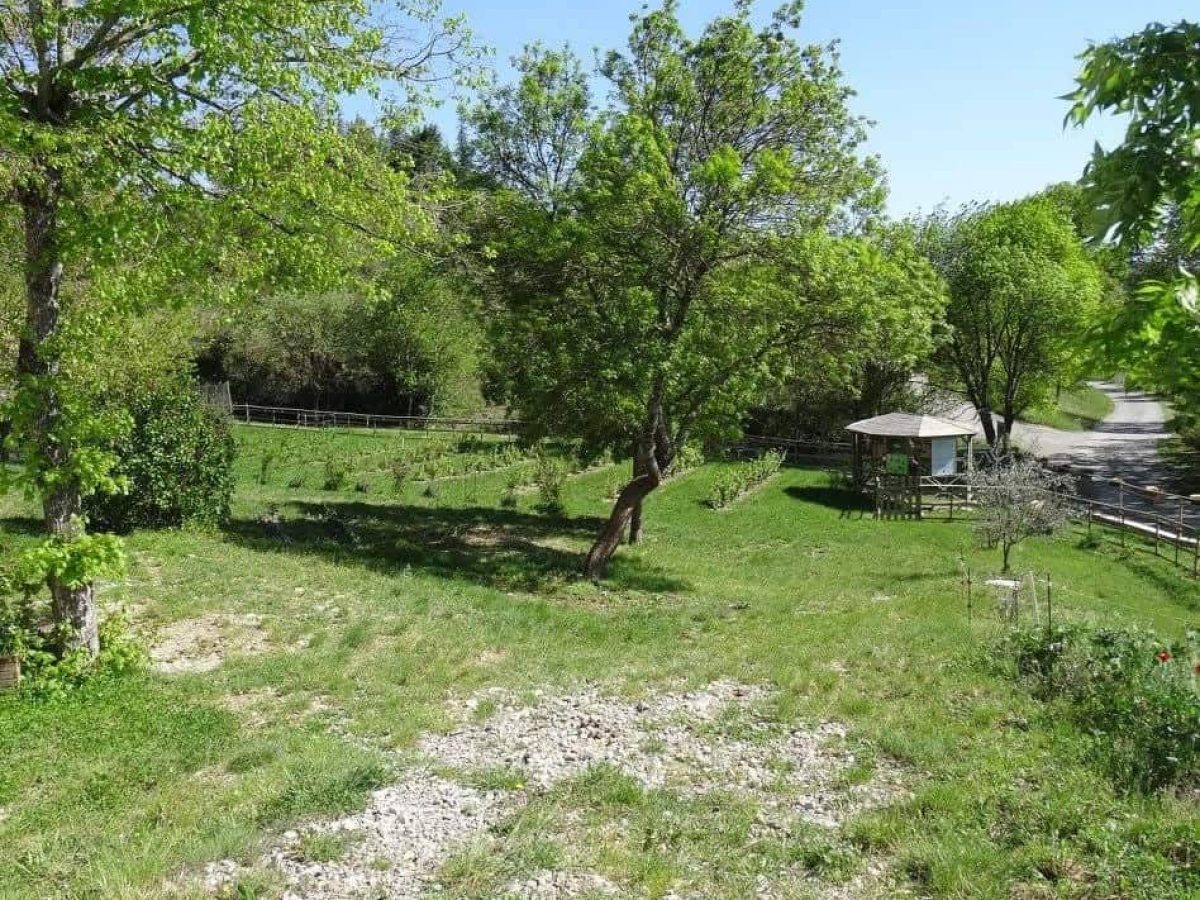 propriete-a-vendre-a-entrepierres-dans-les-alpes-de-haute-provence-9