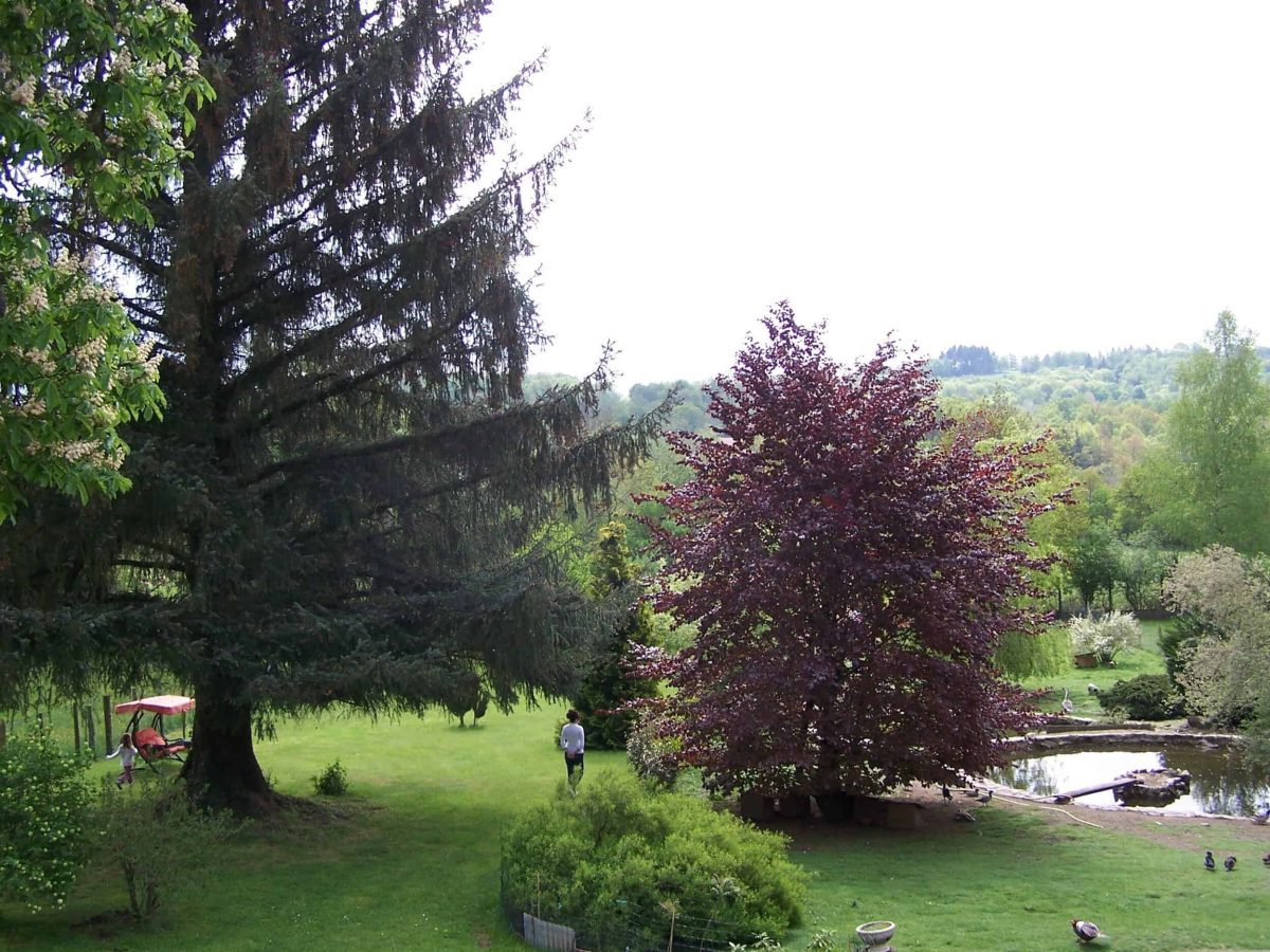 propriete-de-4-hebergements-touristiques-poche-aubusson-et-lac-vassiviere-a-vendre-dans-la-creuse-7