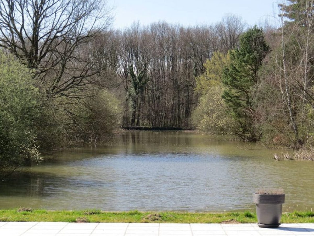 propriete-xixdeg-a-vendre-dans-lallier-5