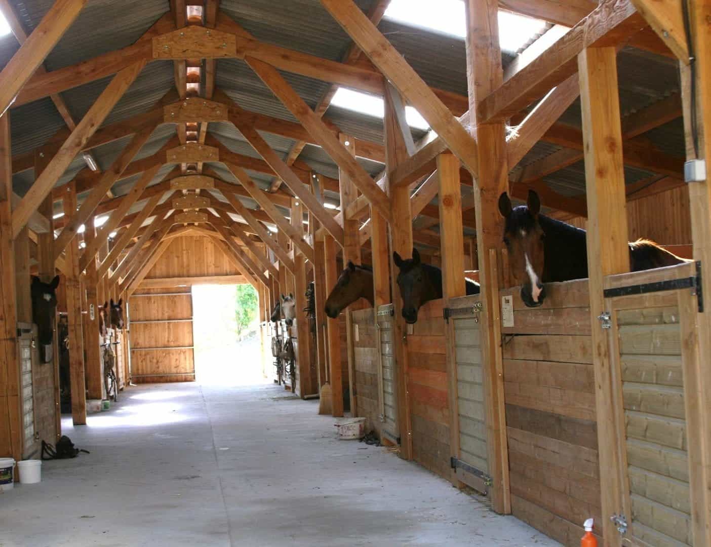 domaine-equestre-et-gites-a-vendre-a-evaux-les-bains-dans-la-creuse-11