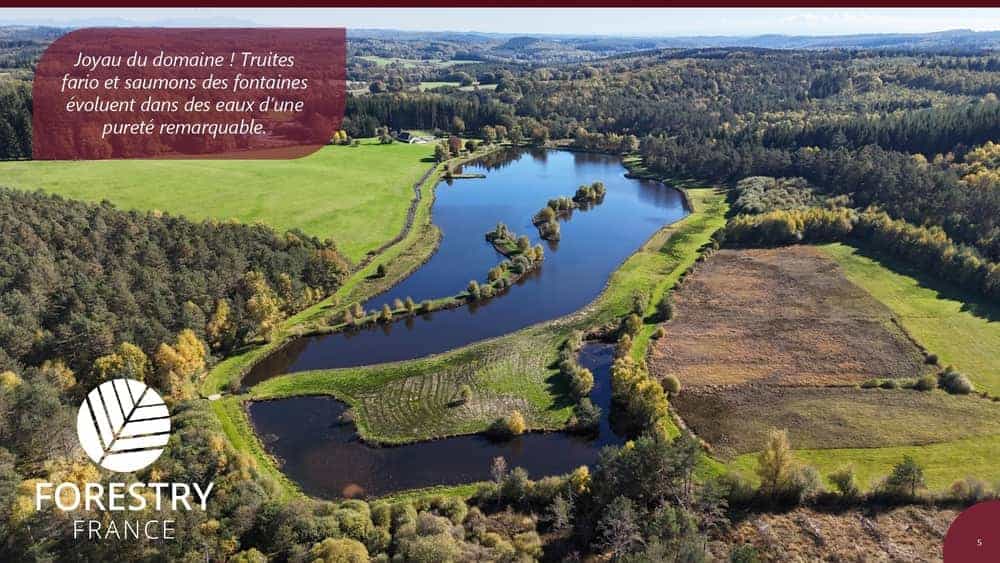 À vendre – Domaine de 4 gîtes et 9 chambres sur le plateau de Millevaches – Corrèze (19)