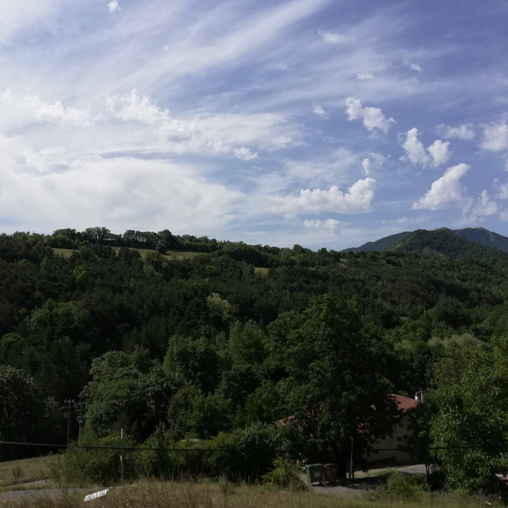 Gite-Gigors-Loasis-20