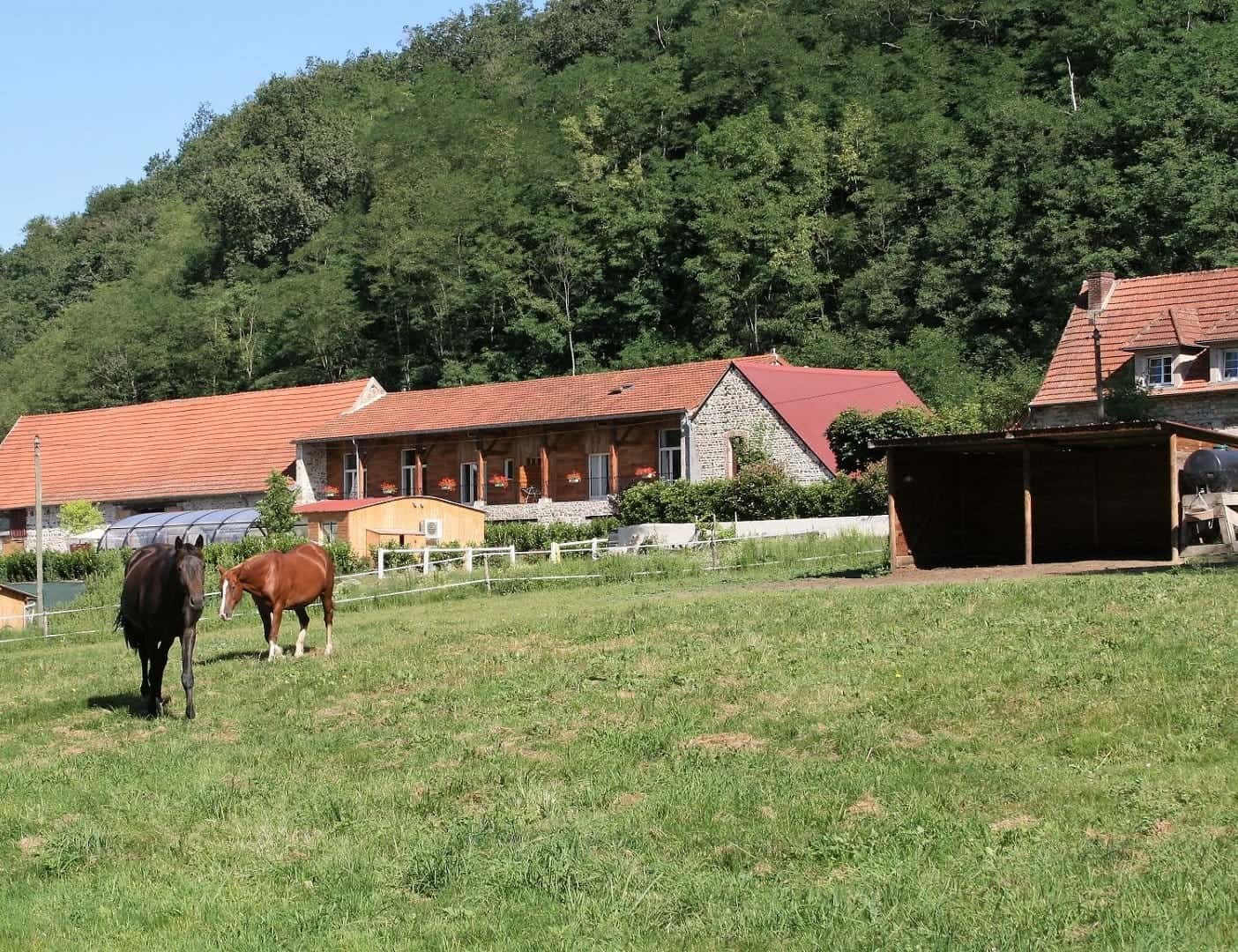 domaine-equestre-et-gites-a-vendre-a-evaux-les-bains-dans-la-creuse-3