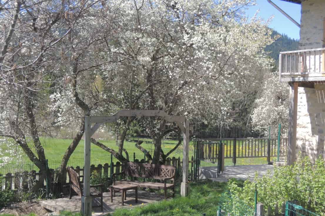 À vendre – Ferme de montagne de 250 m² à Seyne-les-Alpes – Alpes-de-Haute-Provence (04)