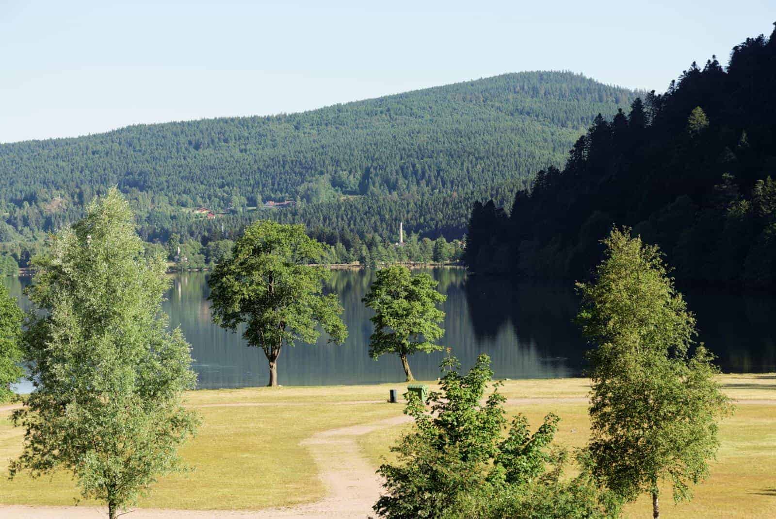 À vendre – Hôtel-chalet de 21 chambres au cœur du Massif des Vosges – Vosges (88)