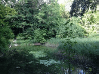 Appel à Manifestation d’Intérêt pour un terrain de 6,8 hectares à destination d’un complexe d’hôtellerie de plein air à Saint-Brice-Courcelles – Marne (51)