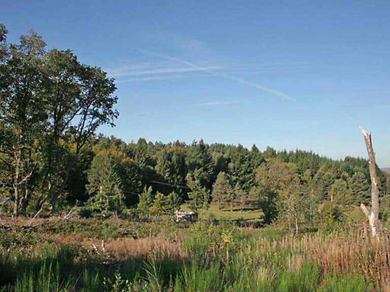 Appel à manifestation d’intérêt pour la gestion d’un camping à Saint-Yrieix-le-Déjalat – Corrèze (19)