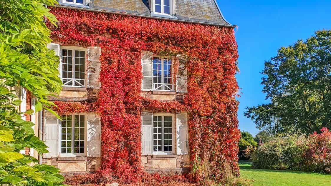 À vendre – Château normand du XVIIᵉ siècle de 27 pièces à Saint-Antonin-de-Sommaire – Eure (27)