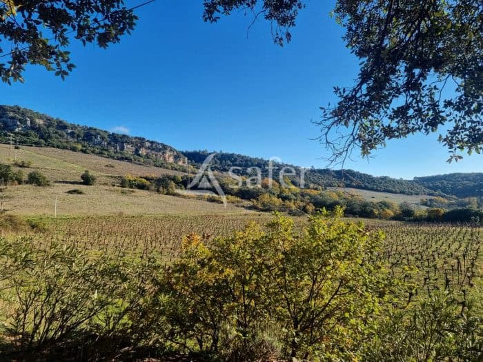 À vendre – Domaine viticole avec deux gîtes à Dio-et-Valquières – Hérault (34)