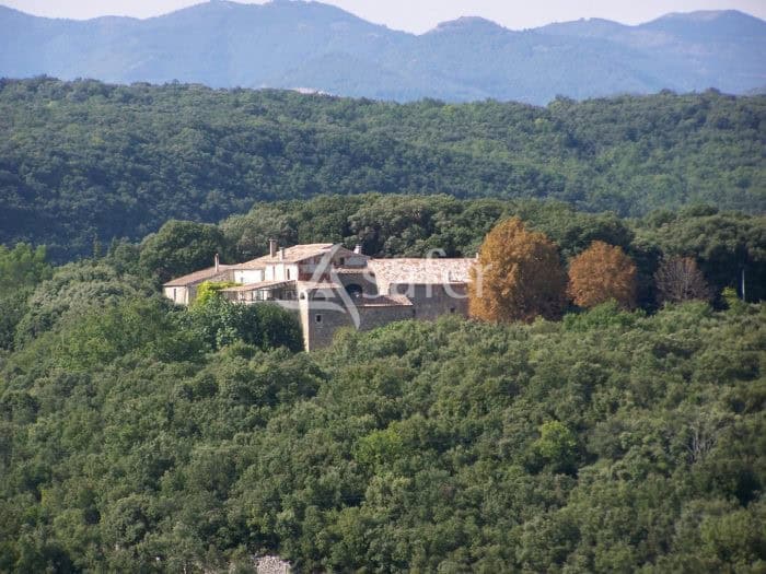À vendre – Domaine viticole avec deux gîtes à Dio-et-Valquières – Hérault (34)