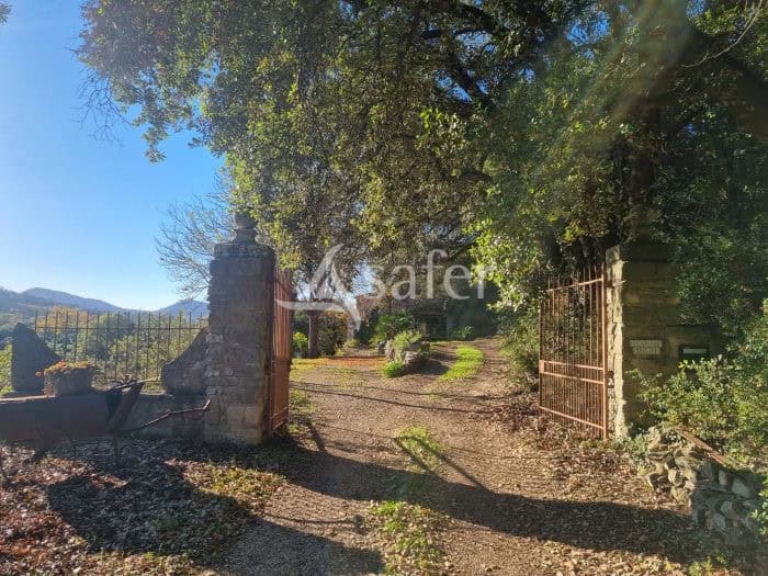 À vendre – Domaine viticole avec deux gîtes à Dio-et-Valquières – Hérault (34)