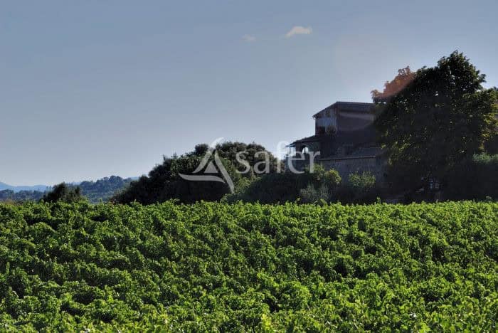À vendre – Domaine viticole avec deux gîtes à Dio-et-Valquières – Hérault (34)