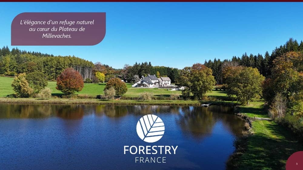À vendre – Domaine de 4 gîtes et 9 chambres sur le plateau de Millevaches – Corrèze (19)