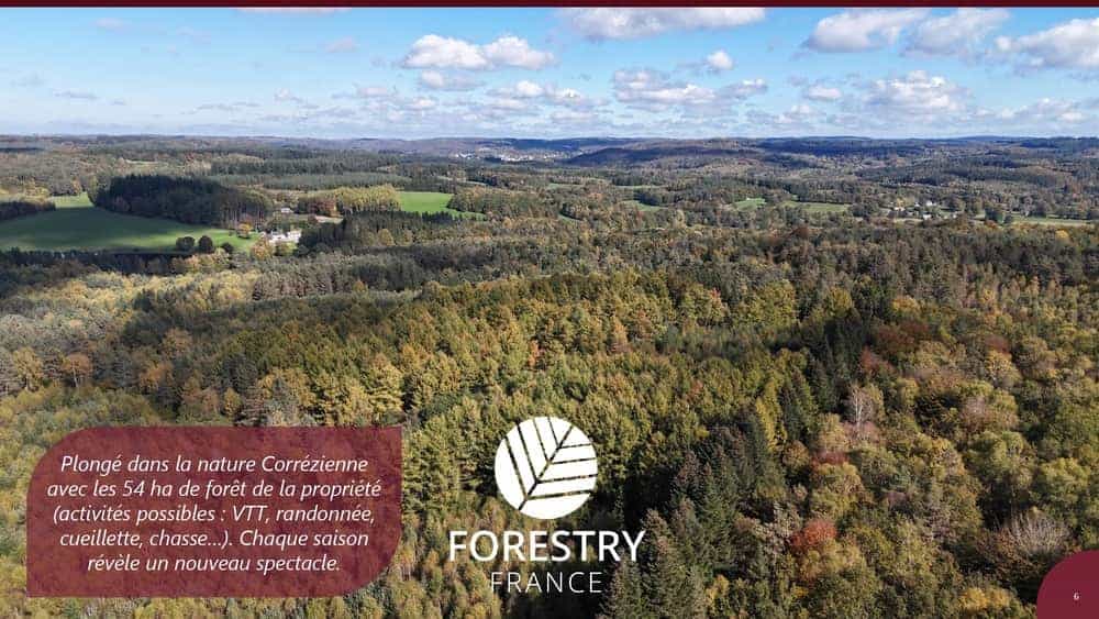 À vendre – Domaine de 4 gîtes et 9 chambres sur le plateau de Millevaches – Corrèze (19)