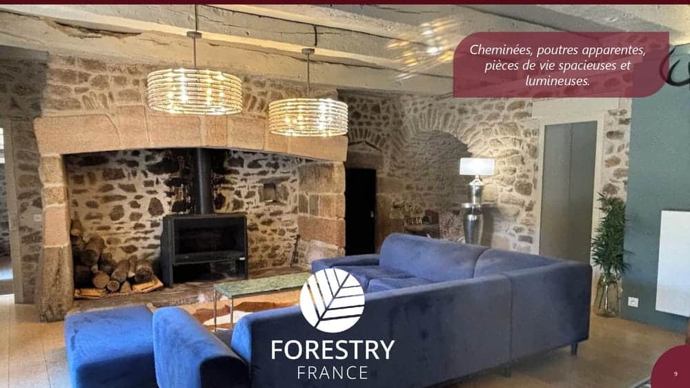 À vendre – Domaine de 4 gîtes et 9 chambres sur le plateau de Millevaches – Corrèze (19)