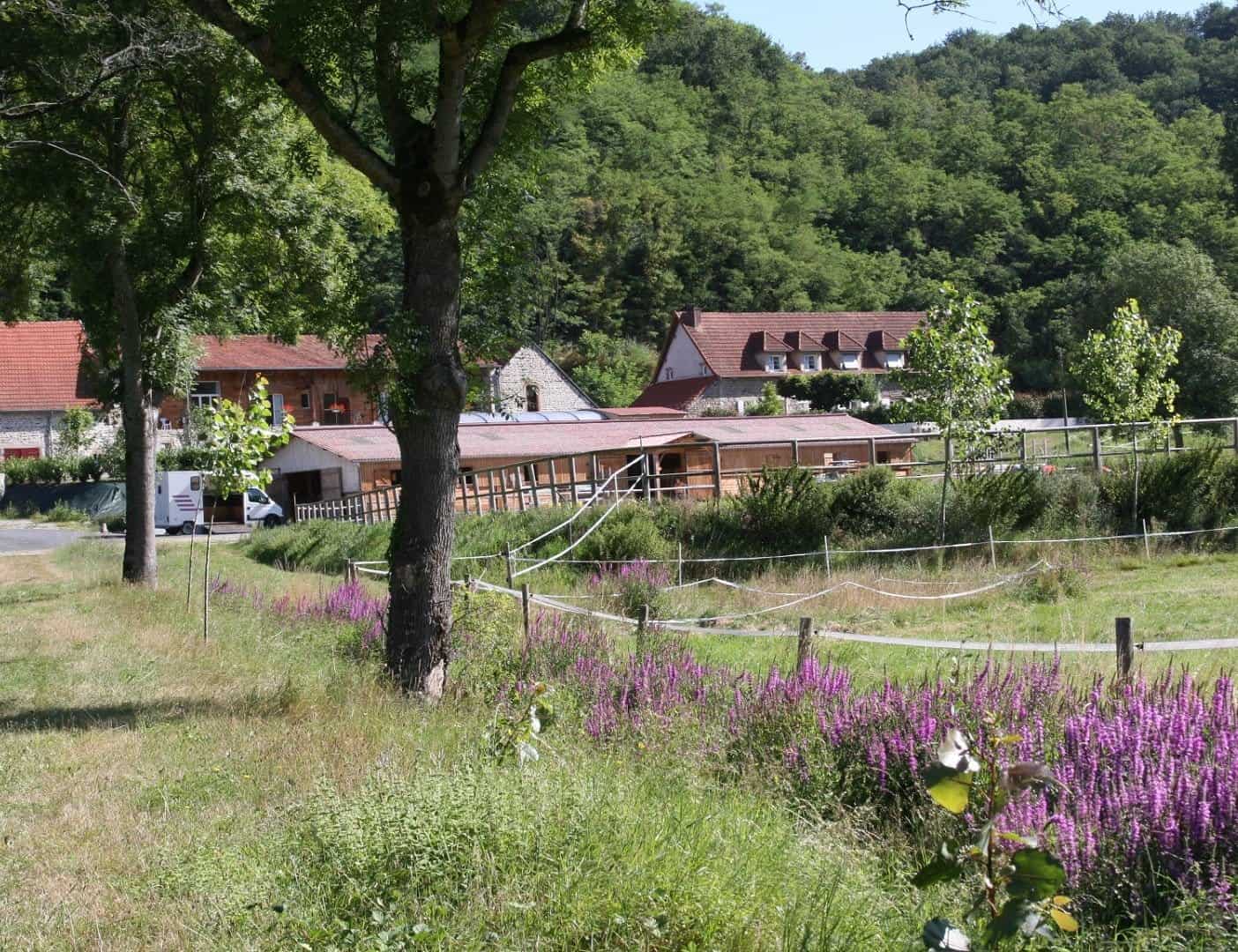 domaine-equestre-et-gites-a-vendre-a-evaux-les-bains-dans-la-creuse-5