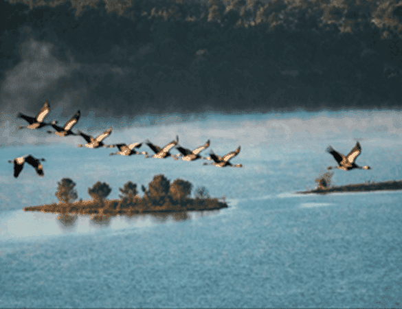 propriete-a-reprendre-pour-une-activite-touristique-a-arjuzanx-proche-dax-landes-11