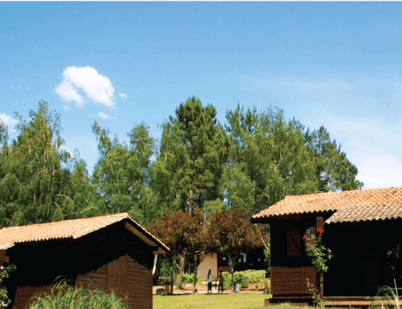 chalets-et-terrains-a-vendre-en-zone-boisee-et-champetre-a-lagorce-gironde-1