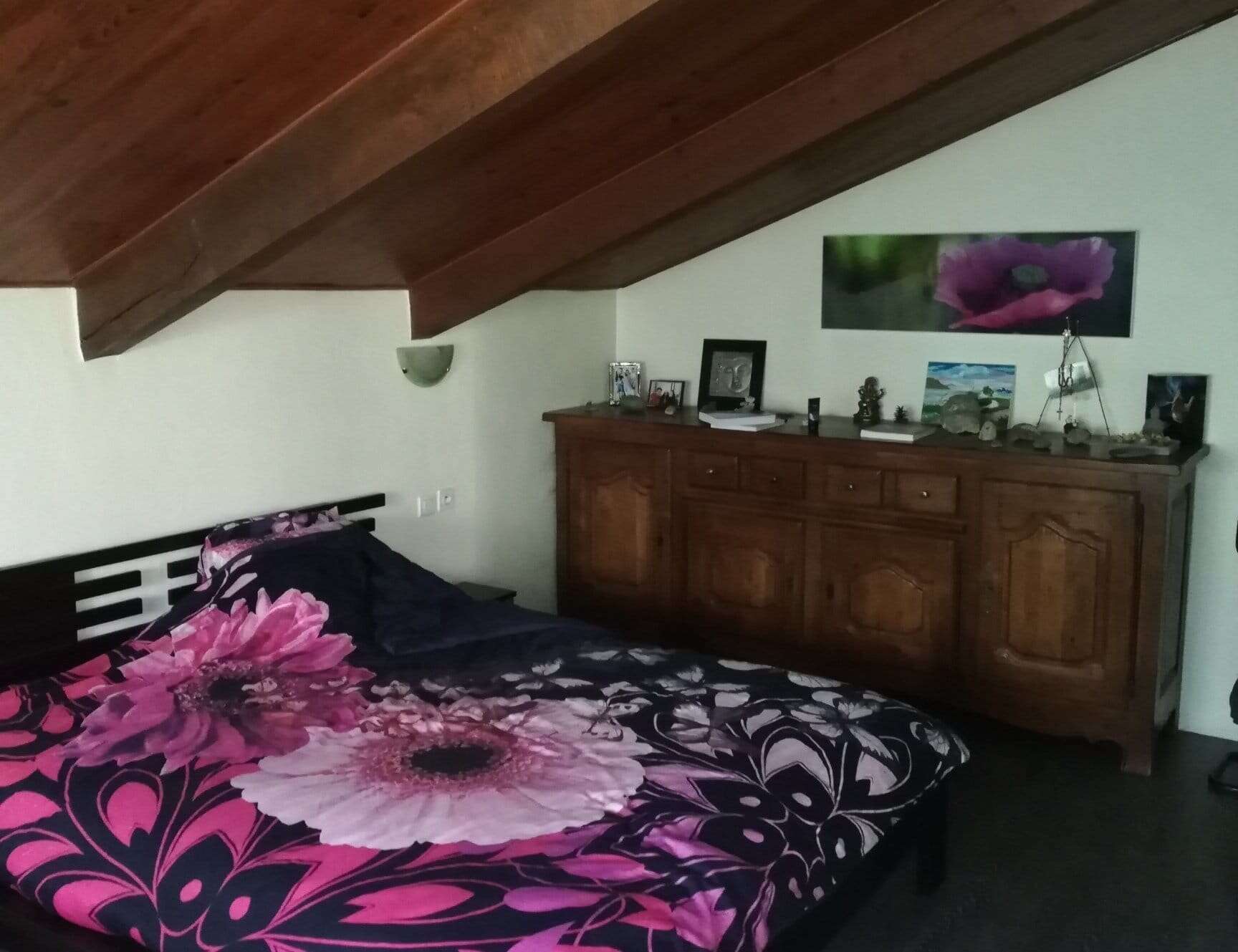 gite-a-vendre-5-pieces-proche-gap-dans-les-alpes-de-haute-provence-13