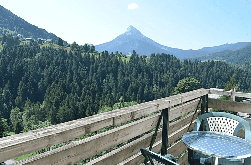 hotel-3-etoiles-a-vendre-a-saint-pierre-de-chartreuse-en-savoie-5