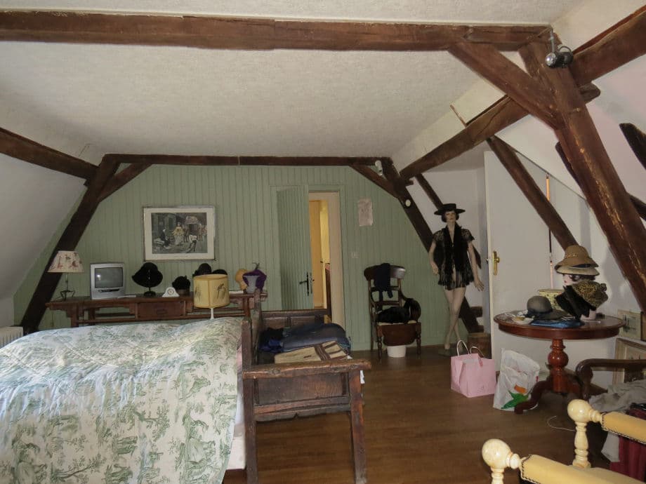 maison-forte-xv-deg-de-300-m2-et-ses-dependances-a-vendre-dans-lallier-7