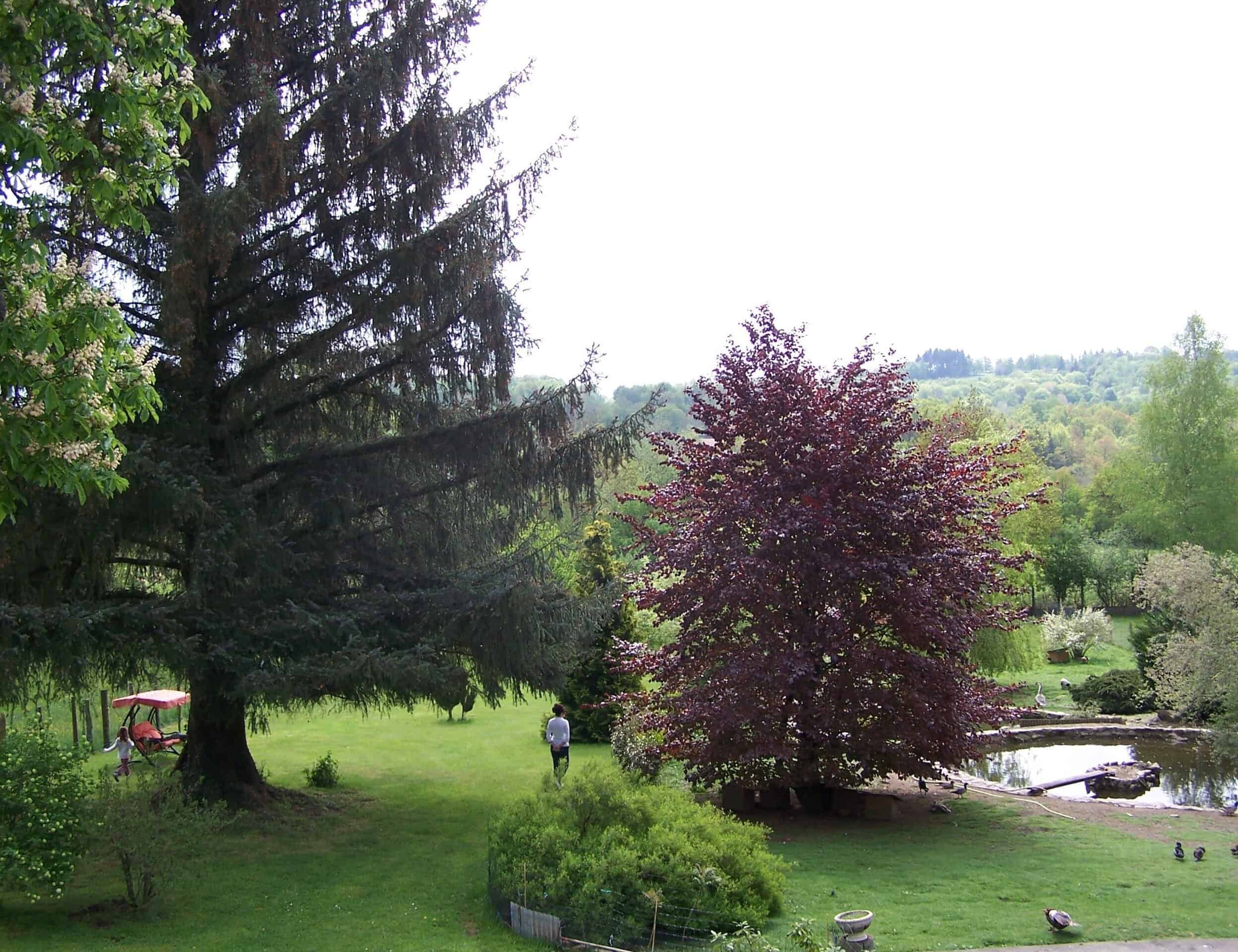 propriete-de-4-hebergements-touristiques-poche-aubusson-et-lac-vassiviere-a-vendre-dans-la-creuse-7