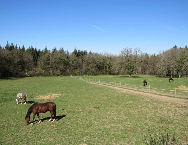propriete-xixdeg-a-vendre-dans-lallier-3