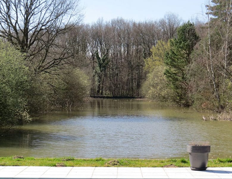 propriete-xixdeg-a-vendre-dans-lallier-5